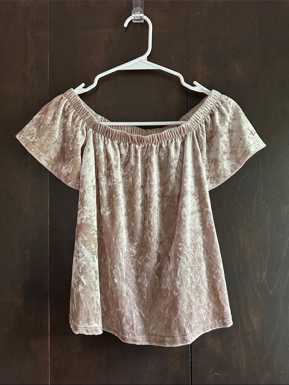 Off-Shoulder Velvet Top in Blush